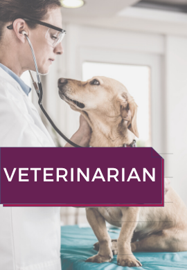 Career Outcomes Health 4